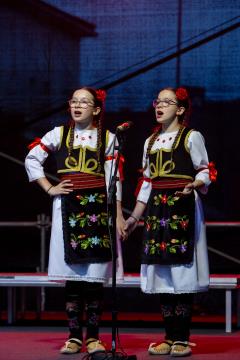 SPD Nikola Tesla Postojna, KUD Sevdah Ljubljana, FD Vipava in SKD Sava Hrastnik (15)